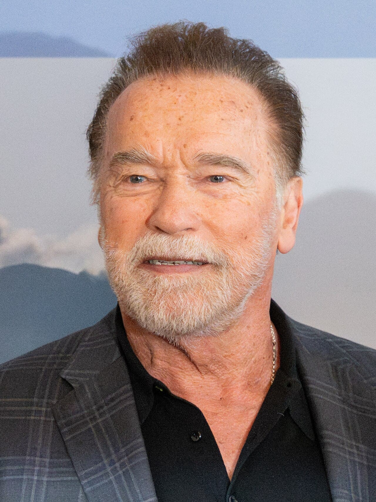 Photograph of Arnold Schwarzenegger