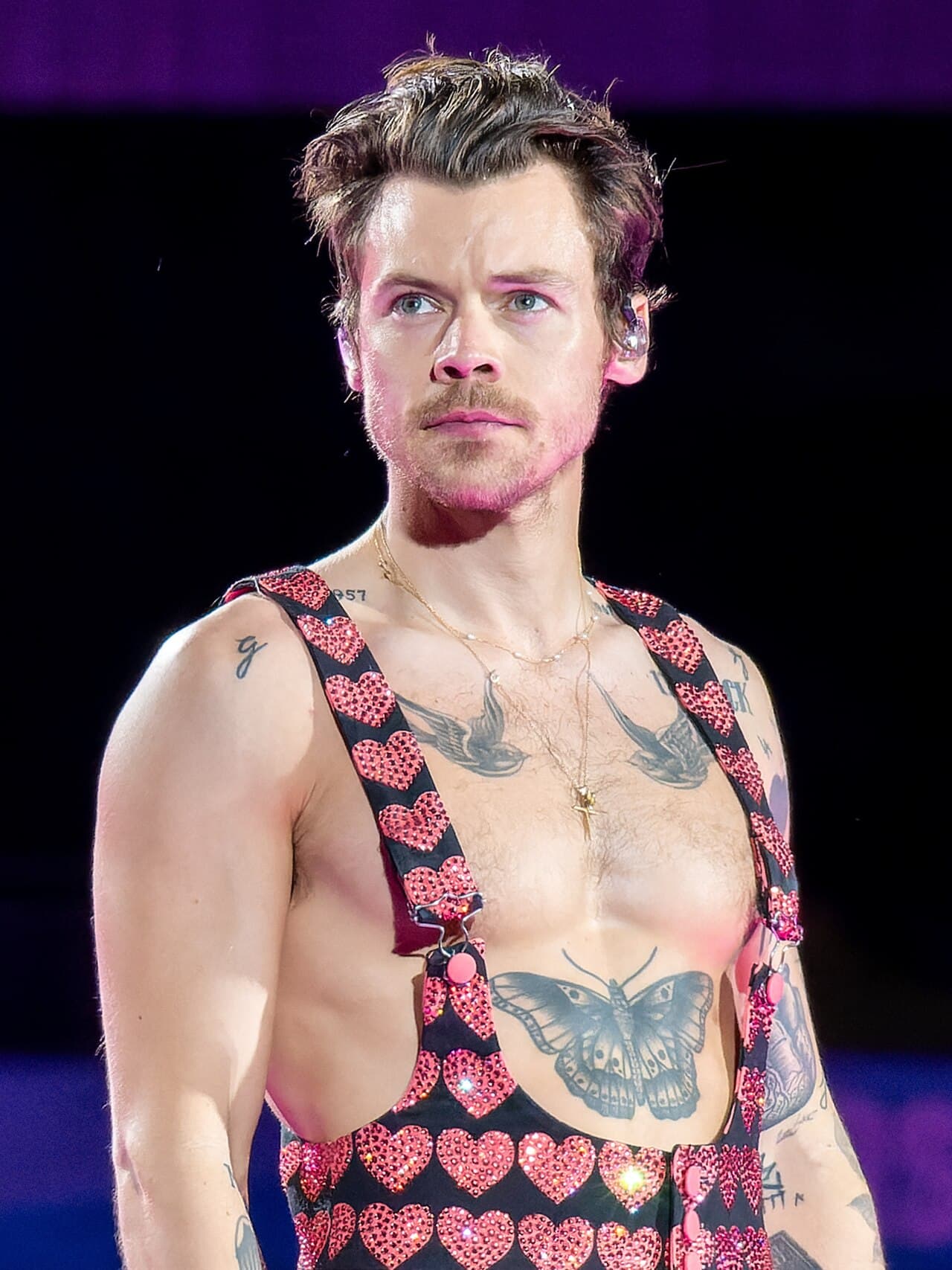 Wikimedia Commons image associated with Harry Styles